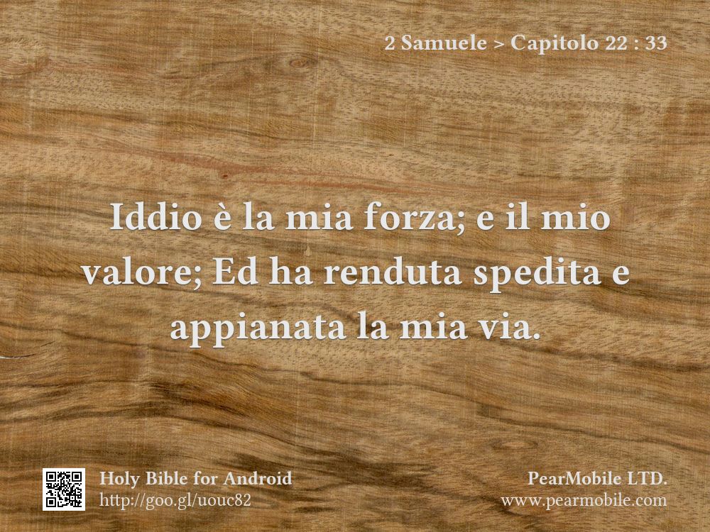 2 Samuele, Capitolo 22:33